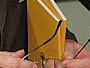 Book presentation